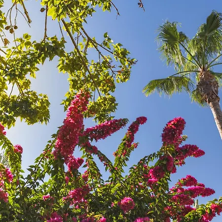 Elba Lanzarote Royal Village Отель